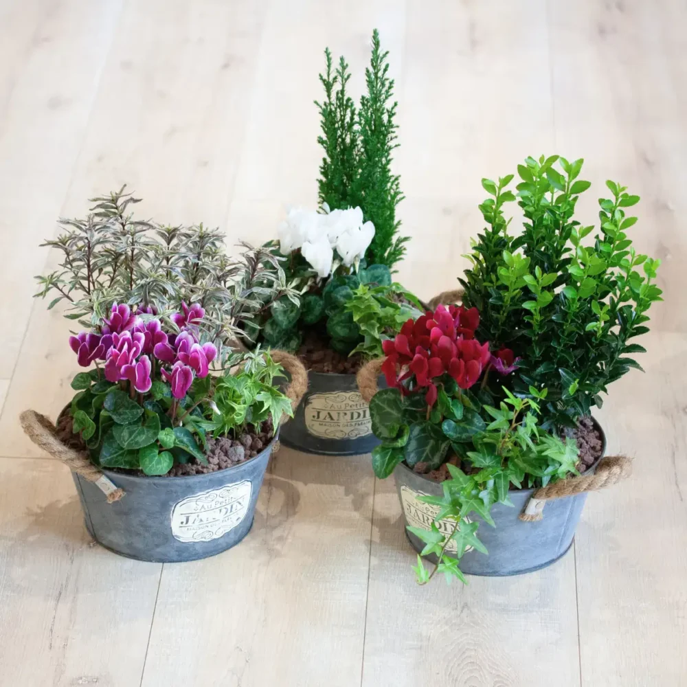 Composition d'extérieur