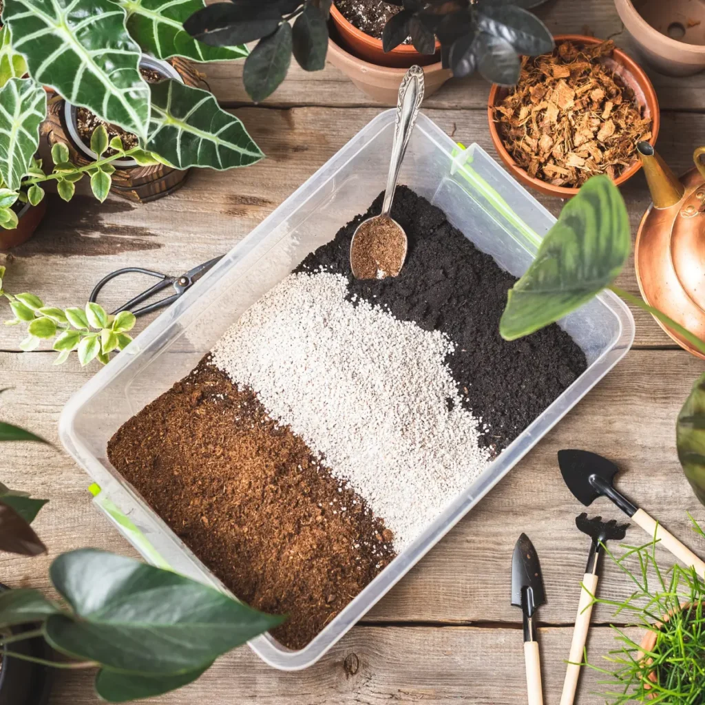 Boite plastique avec différents substrats prêts à être mélanger