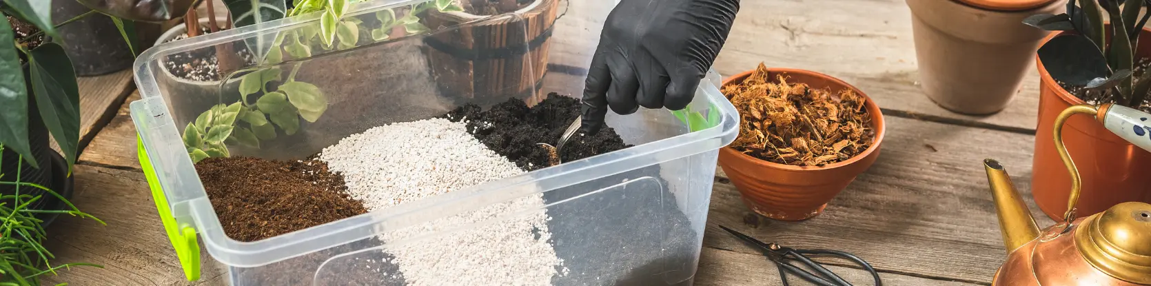 Terreau et substrat pour plante d'intérieur