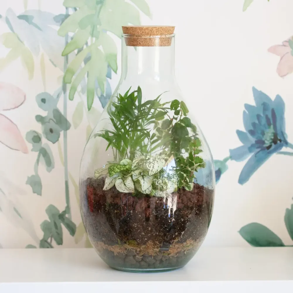 Terrarium Tropical